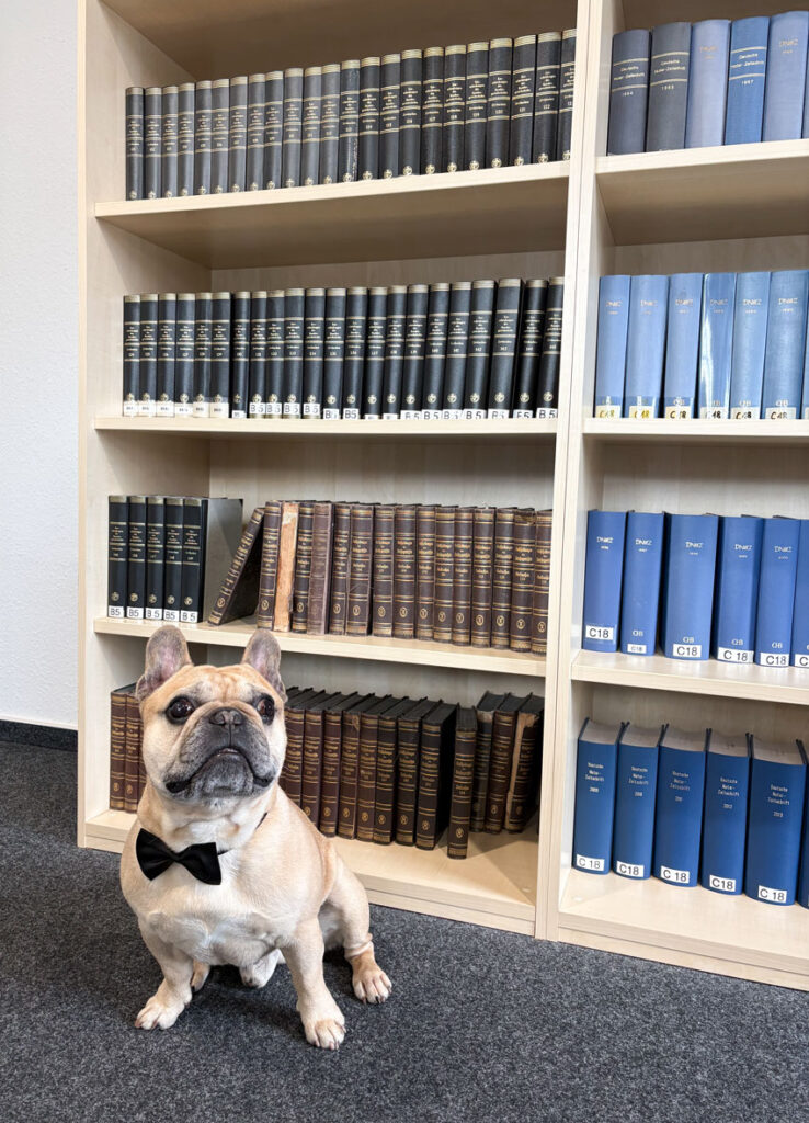 Maskottchen-Kanzlei-Rolfes-Hude.de